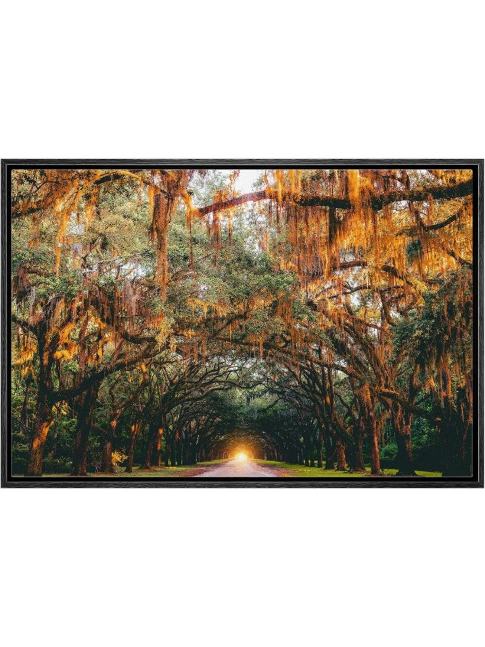 Autumn Tree Canopy Framed Canvas Art - Rustic Fall Landscape for Living Room